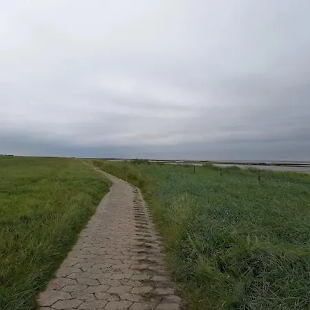 Wiesengrund Mit Sauna, Dom wakacyjny